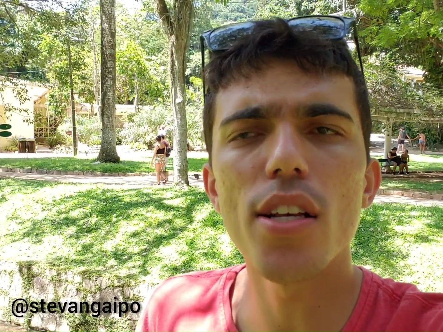 Gringo não pode falar mal do Brasil